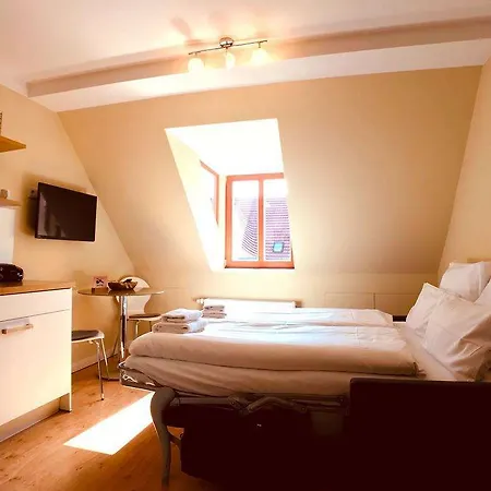 Amaroo Bb40 * Potsdam